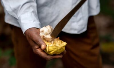 Turrón Carúpano